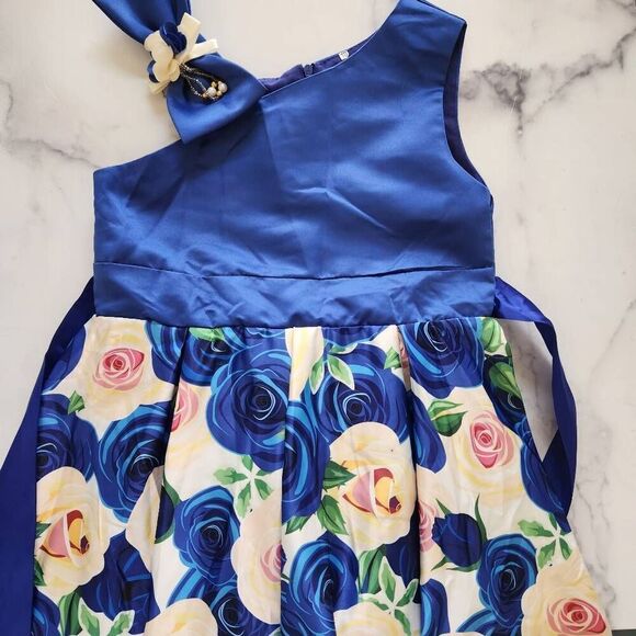 Girls 10-year blue cream Rose silky formal puffy sleeveless dress fancy princess - Picture 2 of 6